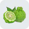 Bergamot