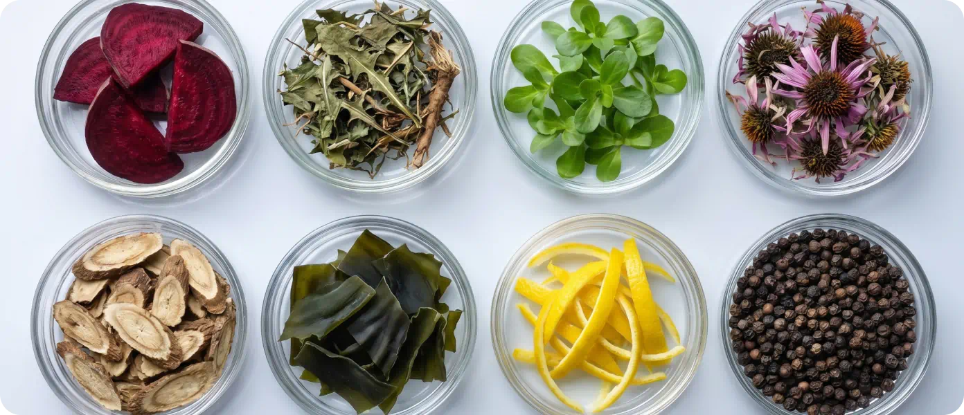 02. How Do We Verify Raw Ingredients?
