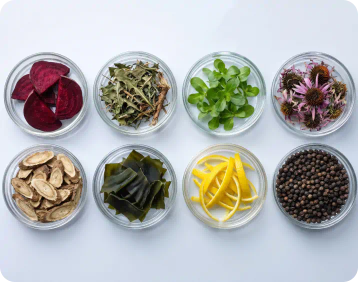 02. How Do We Verify Raw Ingredients?
