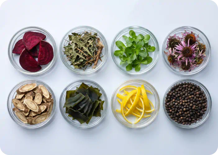 02. How Do We Verify Raw Ingredients?